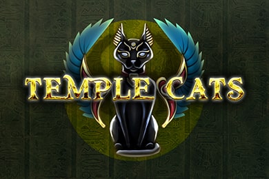 Templecats Кой Казино играть